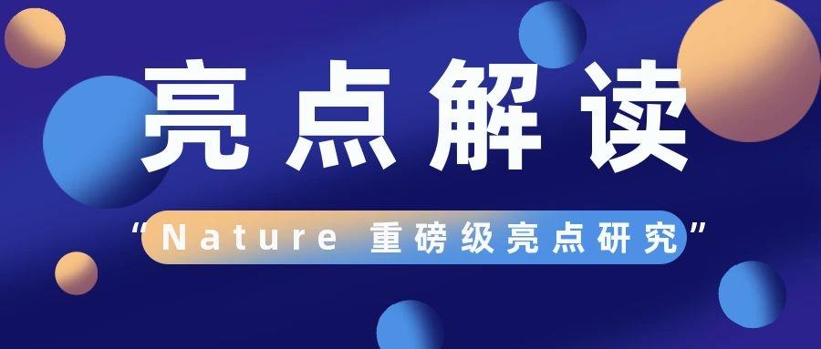 盤點(diǎn)：1月份Nature雜志不得不看的重磅級亮點(diǎn)研究！